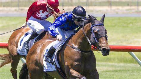morphettville racing results|morphettville races saturday results.